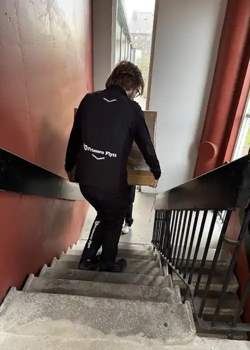 Personal från Primero AB bär kartonger i trapphus under pågående uppdrag
